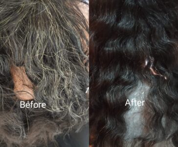 2408818f-57c0-4324-b4a2-874cef151389