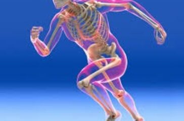 MUSCULO-SKELETAL SYSTEM