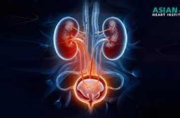 RENAL SYSTEM